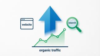 seo продвижение сайта по трафику